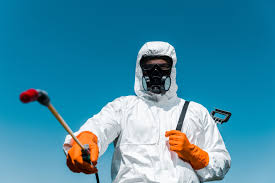 Best Pest Exclusion Services  in Budd Lake, NJ